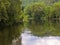 Shenandoah River South Fork with dense vegetation around its shores in Virginia, USA