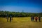 SHENZEN, CHINA - 29 JANUARY, 2017: Inside Lian Hua Shan park, large recreational area, people running on grass playing