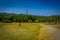 SHENZEN, CHINA - 29 JANUARY, 2017: Inside Lian Hua Shan park, large recreational area, young boy running on grass