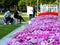 Shenzhen, China: men and women, children and other citizens or tourists relax in parks during the Spring Festival holiday