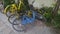 Shenzhen, China: some shared bicycles that have been dumped on the ground