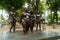 Shenzhen, China: statues of several female figures are on the streets, which are controversial because of their fat artistic shape