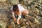 Shenzhen, China: tourists play on the beach or catch crabs and enjoy their leisure time