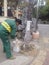 Shenzhen, China: Workers brush the roots of trees with lime water to prevent insects