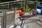 Shenzhen, China: workers in pavement repairing