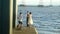 Shenzhen, China: Young men and women take photos of themselves on a beach, despite the strong sea breeze