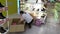 Shenzhen, China: young women shopping for shoes in shoe stores