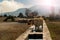 Shepherd dog washes by itself at the fountain in the countryside and sheep in background