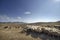 shepherd drives on the mountain route an attara of sheep, the desert mountain area, Azerbaijan