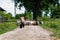 Shepherd with goats going to the sheepfold, on the streets of the village, photographed from behind in the middle of nature