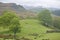 Shepherd herding sheep on Coniston Fells