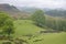 Shepherd herding sheep on Coniston Fells