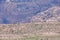 A shepherd herding sheep in Jordan