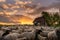 Shepherd house in Transylvania Roumania , shepherd surrounded by sheep  at the farm in country side