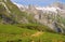 Shepherd, Pyrenean mountains, France