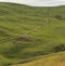 A shepherd tending a flock of sheep in the mountains of Gobustan(Azerbaijan)