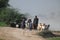 shepherds with flock of sheep in the desert