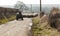 Shepherds herding sheep along public highway.