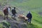 Shepherds near Xinaliq, Azerbaijan, a remote mountain village in the Greater Caucasus range