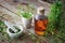 Shepherds purse, bottle of tincture, mortar and old book.