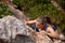 Shes determined to reach the top. Shot of a young woman climbing a mountain rockface.