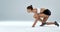 Shes on her mark. Studio shot of an athletic young woman ready on her mark against a grey background.