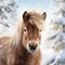 Shetland Pony Head Image With Snowy Alder Forest Background