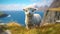 Shetland Sheep On Grass With Ocean Background - Rendered In Cinema4d