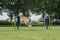 Shetland sheepdog enjoying juming over an agility hurdle outdoor