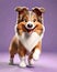 Shetland Sheepdog puppy dog cartoon character