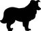 Shetland Sheepdog silhouette black