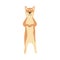 Shiba inu breed dog stands on hind legs flat vector illustration isolated.