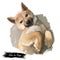 Shiba Inu Brushwood turf Japanese dog purebred digital art. Watercolor portrait of domesticad animal, mammal with smooth