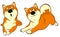 Shiba inu cartoon