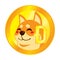 Shiba Inu Cryptocurrency Coin