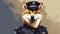 Shiba Inu dog in a police suit and outfit illustration, generative ai