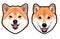 Shiba Inu dog portrait colored vector illustration