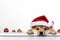 Shiba inu dog with Santa hat on peeking out from white background. Christmas, New year festive Shiba inu puppy portrait