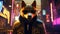 Shiba Inu dog in sunglasses on the background of night city.