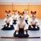 shiba inu dogs disciples learning kendo as part of the way of the dog