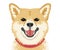 Shiba inu face close-up, Front view