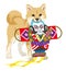 Shiba inu playing with the Japanese Kite