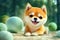 Shiba Inu puppy dog playing happy