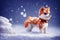 A Shiba Inu puppy dog on snow