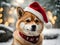 Shiba Inu\\\'s Christmas Cheer: Merry Moments, Festive Joy, and Heartwarming Canine Celebrations.