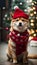 Shiba Inu\'s Festive Frolic: Merry Christmas Magic, Adorable Moments, and Heartwarming Canine Cheer.