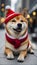 Shiba Inu\'s Festive Spark: Merry Christmas Magic, Adorable Moments, and Heartwarming Canine Joy.