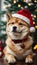 Shiba Inu\'s Seasonal Symphony: Merry Christmas Magic, Festive Delight, and Heartwarming Canine Joy.