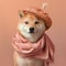 a Shiba Inu in a scarf with a peach hat