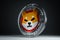 Shiba Inu SHIB cryptocurrency token coin